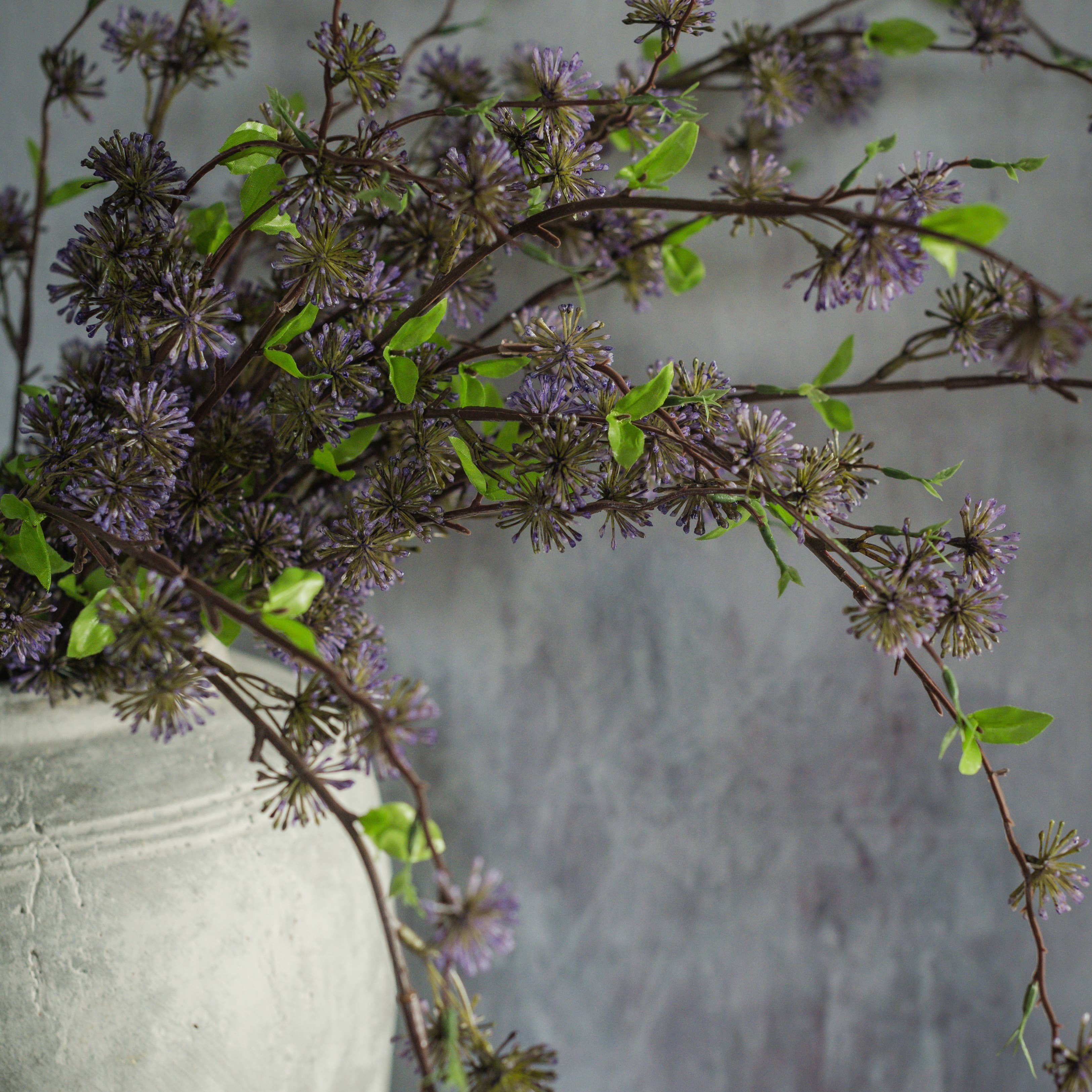 Purple Eucalyptus Seed Bush, 36"