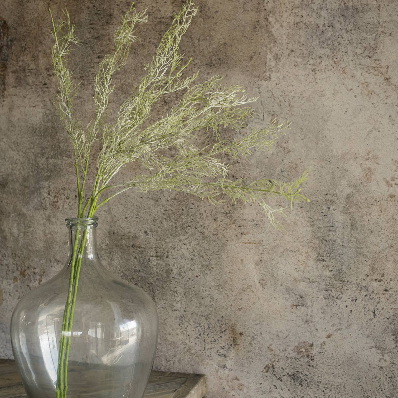 Wispy Green Asparagus Spray, 34"