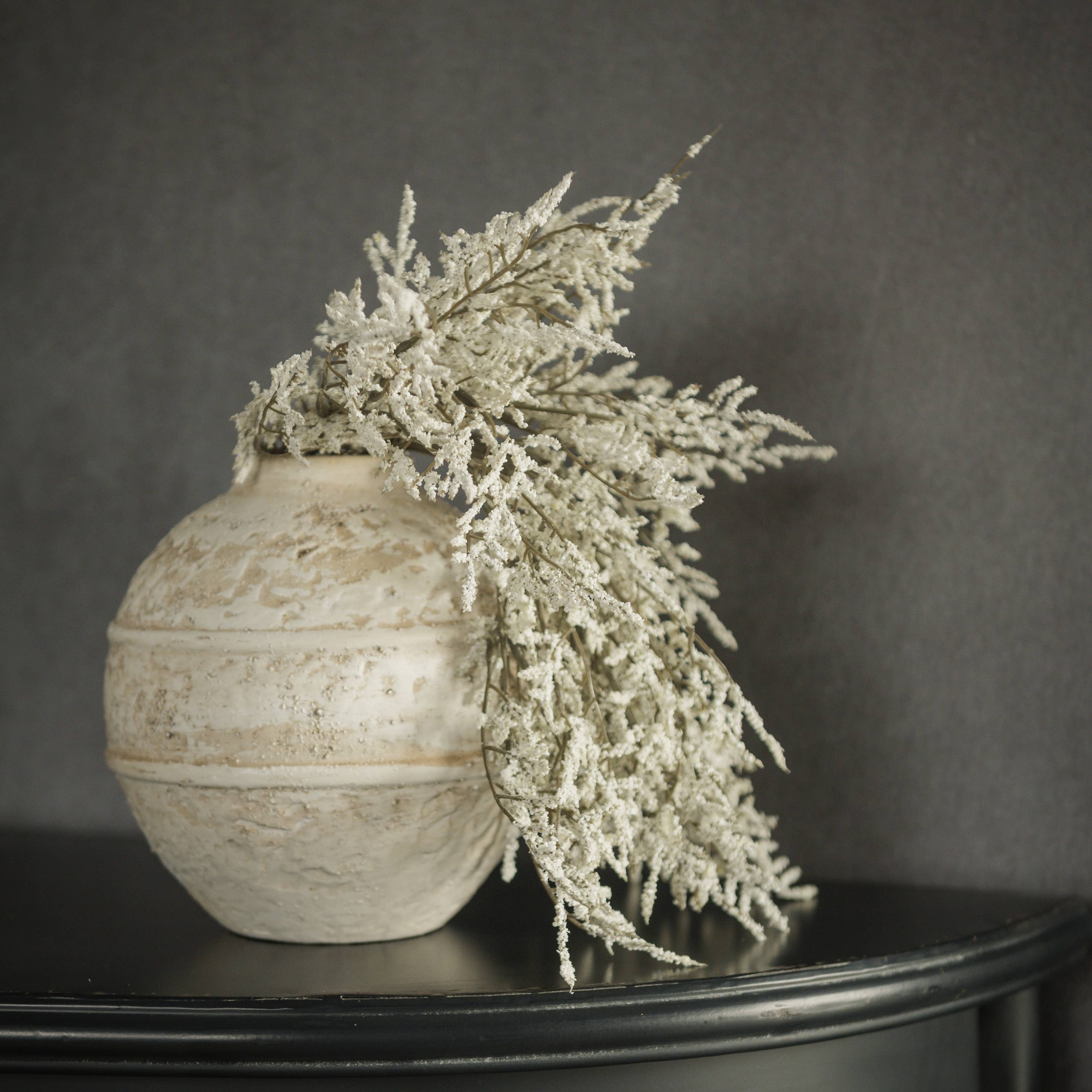 White Dance Plant Bush