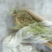 Wispy Green Asparagus Spray, 34"