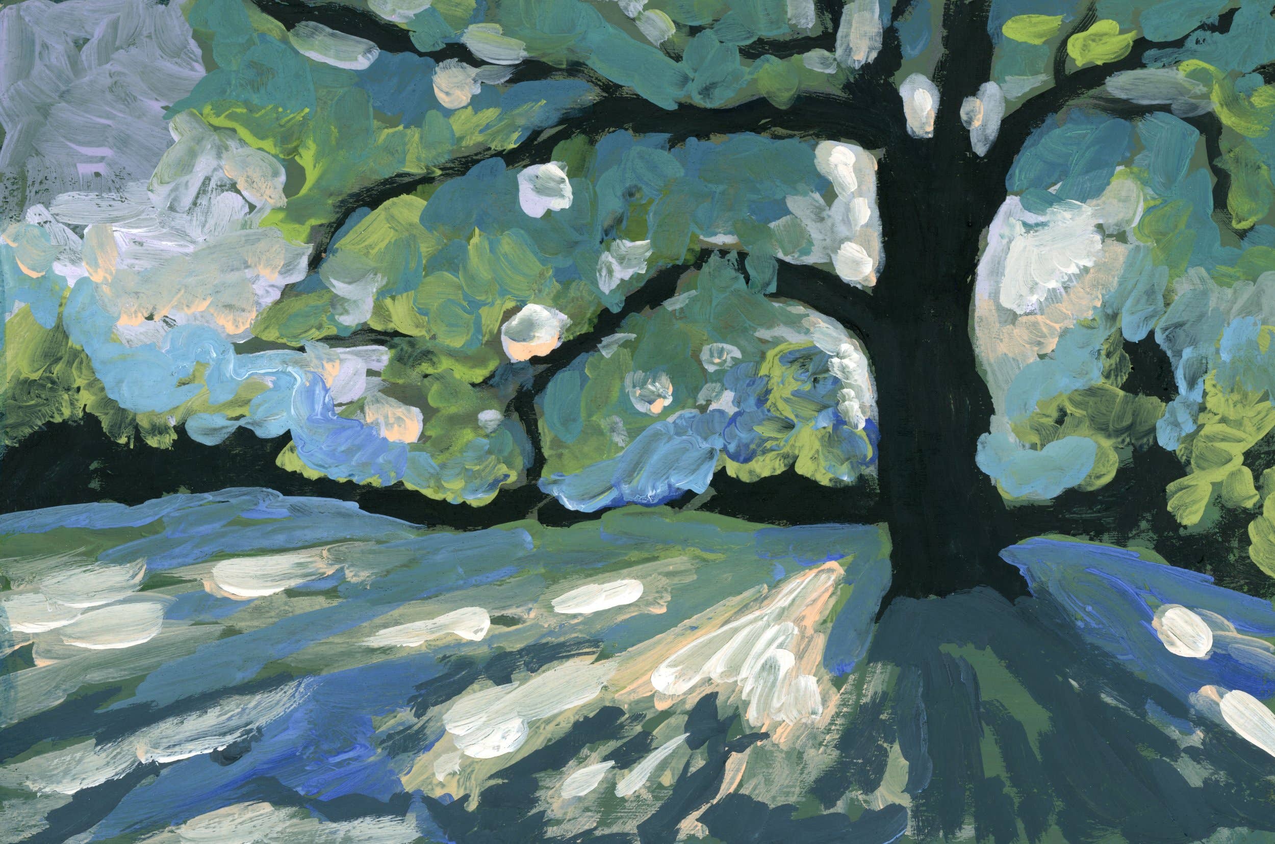 Winsloe Oak (Horizontal Print), 16x20