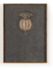 ""Poppy Framed Artwork by Paul Meyer