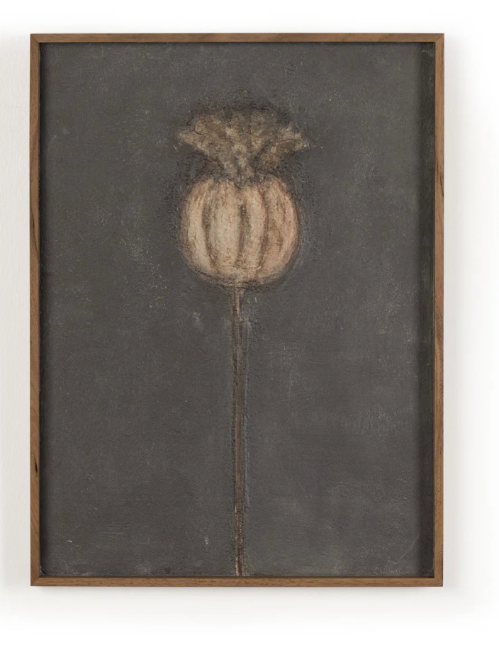 ""Poppy Framed Artwork by Paul Meyer