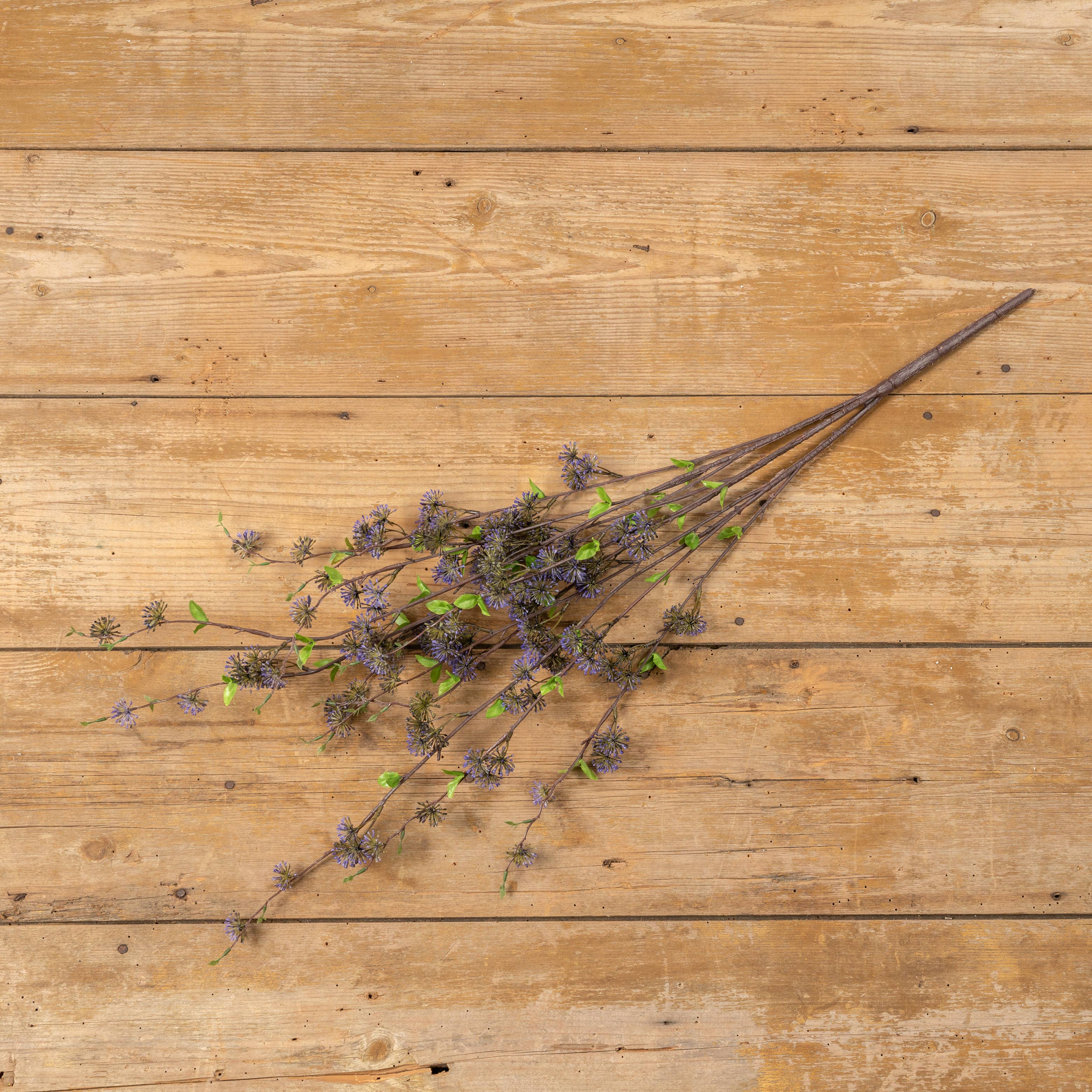 Purple Eucalyptus Seed Bush, 36"